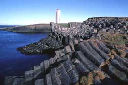 Nordeuropa, Island: Große Expedition - In Nordwesten Islands: Basaltsäulen